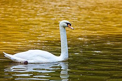 《影之刃零》RTX光追演示,重塑经典庞镇场景